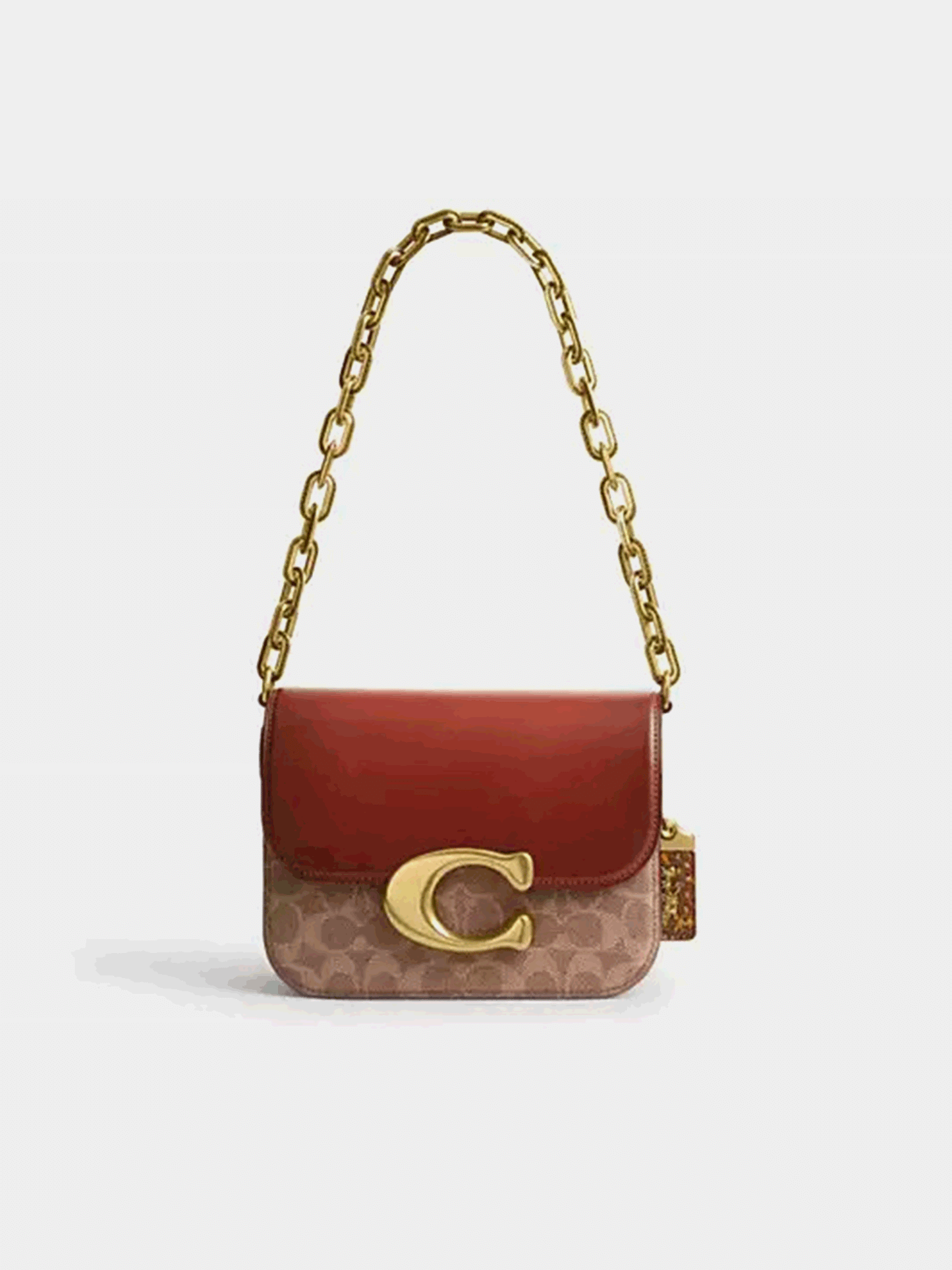 Idol Bag In Signature Canvas With Snakeskin Detail