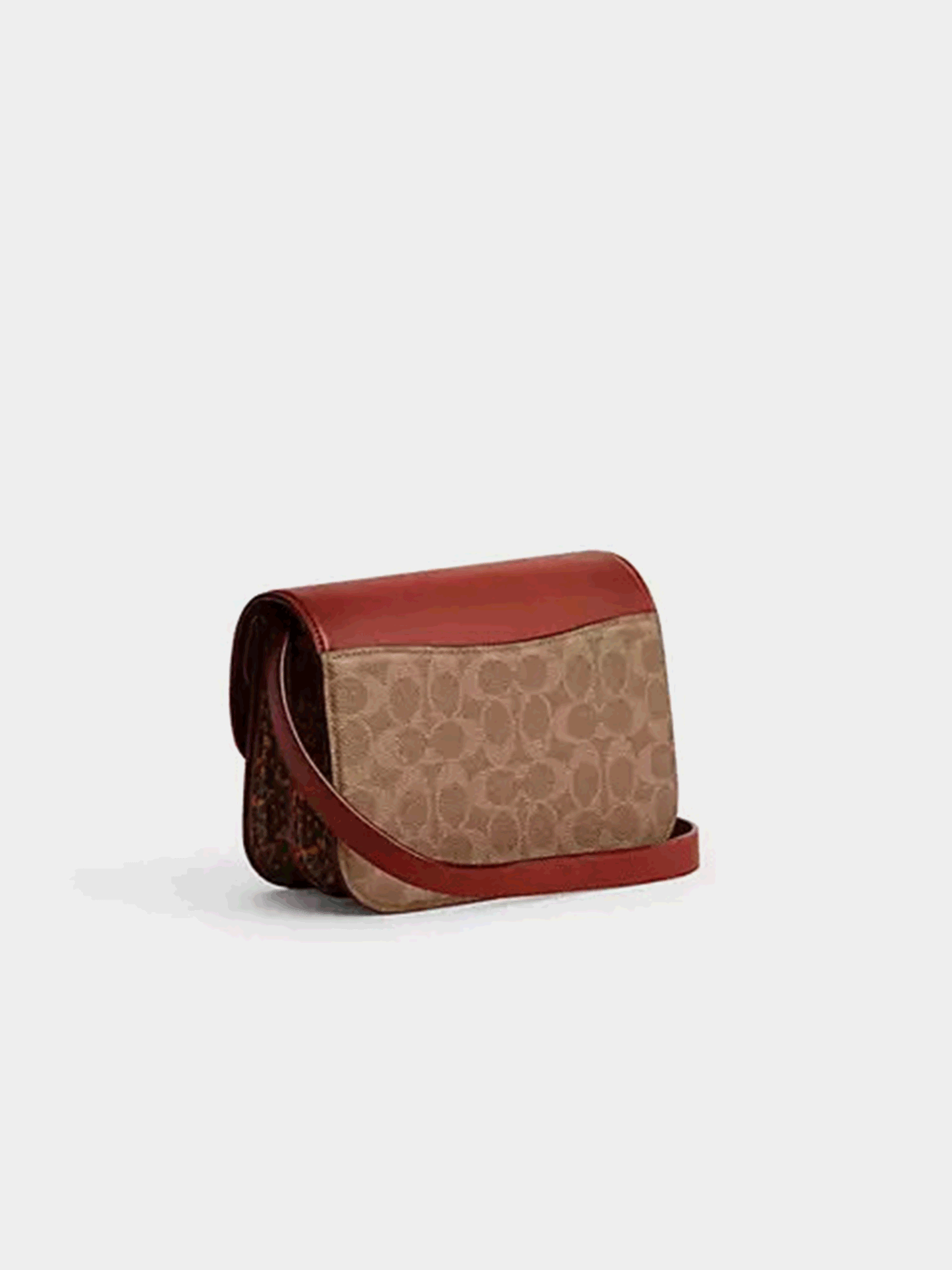 Idol Bag In Signature Canvas With Snakeskin Detail